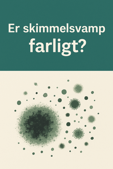 Er skimmelsvamp farligt? Sandheden du bør kende (og hvornår du skal reagere)