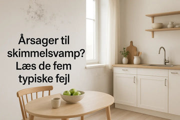 De 5 hyppigste årsager til skimmelsvamp i danske hjem MiljøLab ApS